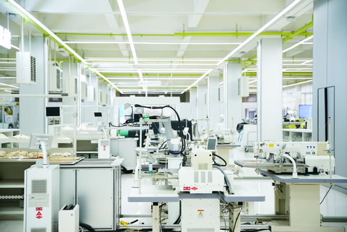 高質量發展看中國 民營企業煥新賦能，金融與技術咨詢共筑溫暖力量